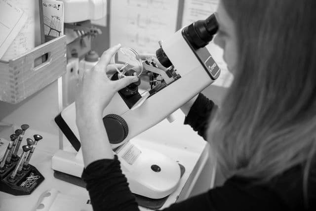 Castelberg Werkstsatt 4 schwarz weiss.jpg